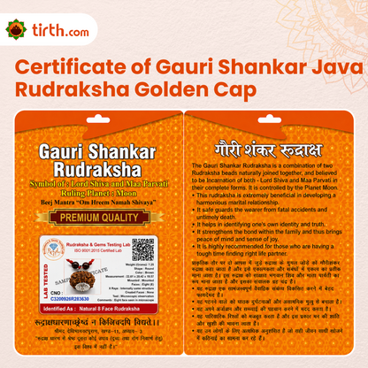 Original Gauri Shankar Rudraksha Java – Shiv Shakti Divine Union Bead (Without Cap / Golden Cap / White Cap)