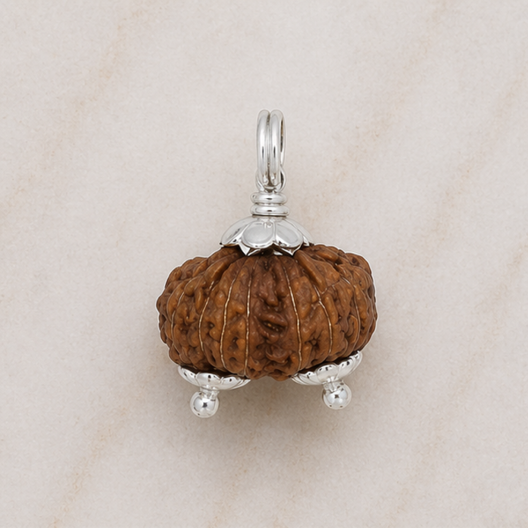 Original Gauri Shankar Rudraksha Java – Shiv Shakti Divine Union Bead (Without Cap / Golden Cap / White Cap)