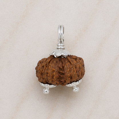 Original Gauri Shankar Rudraksha Java – Shiv Shakti Divine Union Bead (Without Cap / Golden Cap / White Cap)