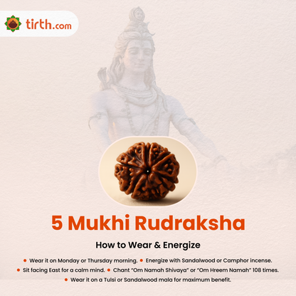 Tirth 5 Mukhi Rudraksha – Peace, Protection & Health Balance | Kalagni Rudra Sacred Bead