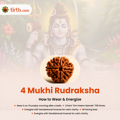 Tirth 4 Mukhi Rudraksha – Knowledge, Memory & Creativity Enhancer | Brahma Divine Wisdom Bead