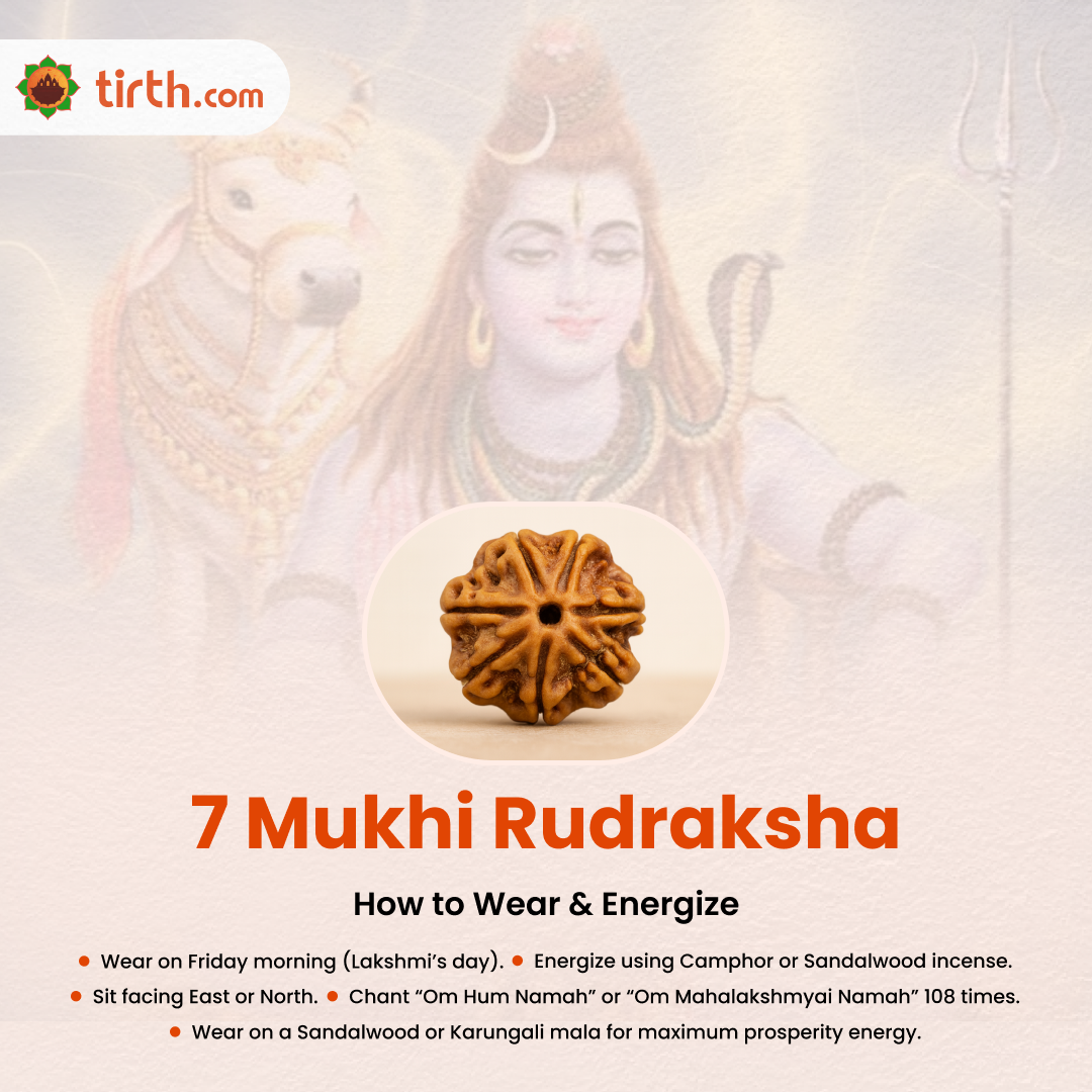 Tirth 7 Mukhi Rudraksha – Wealth, Prosperity & Career Growth | Lakshmi Blessings Bead