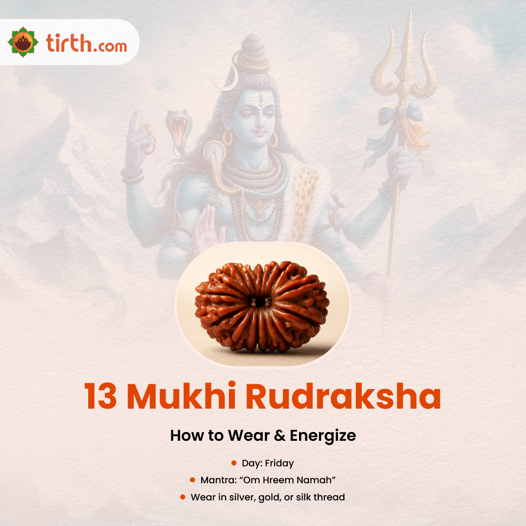 Tirth 13 Mukhi Rudraksha – Kamadeva Attraction & Manifestation Rudraksha