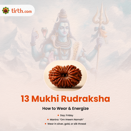 Tirth 13 Mukhi Rudraksha – Kamadeva Attraction & Manifestation Rudraksha