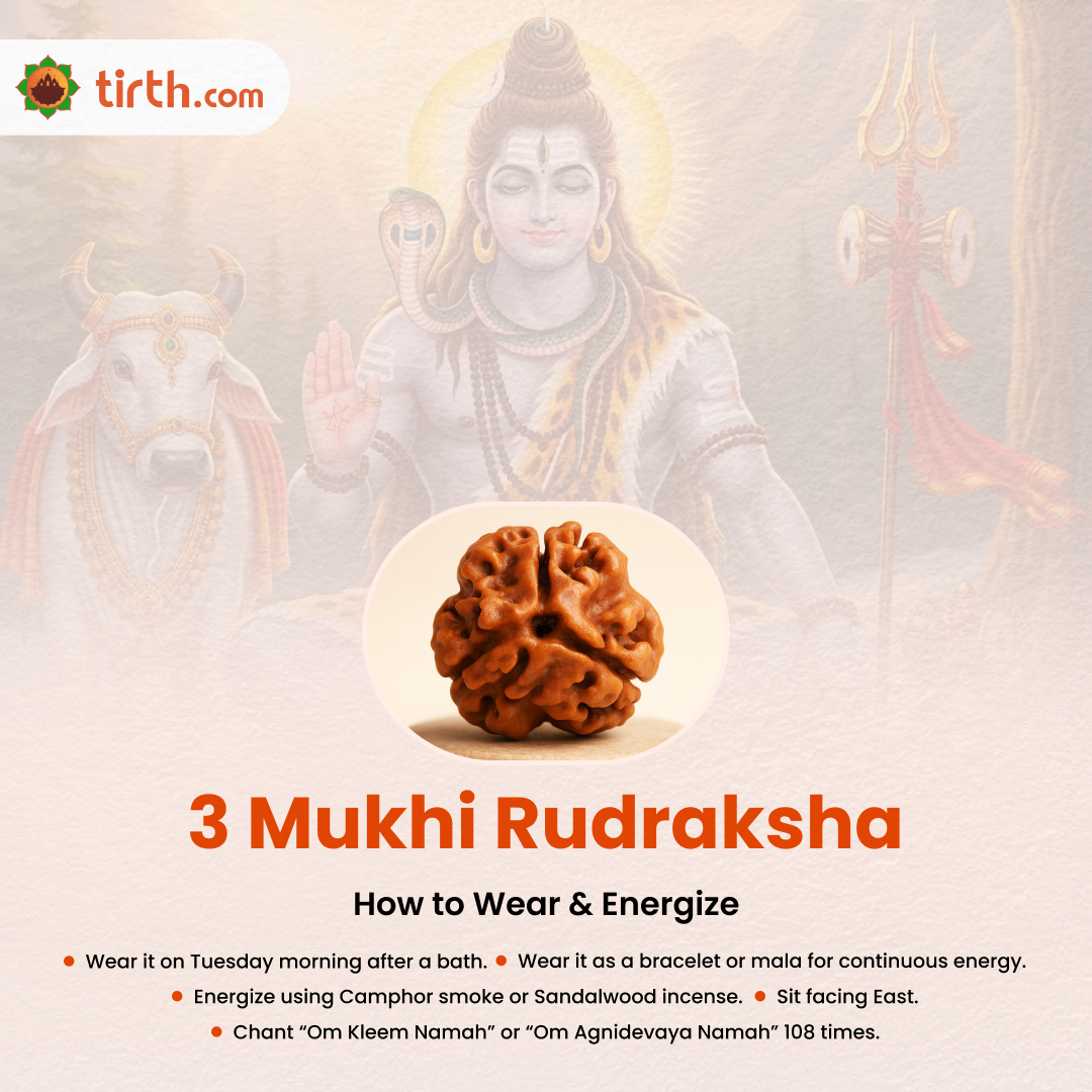 Tirth 3 Mukhi Rudraksha – Karmic Cleansing, Confidence & Energy Boost | Agni Dev Sacred Bead