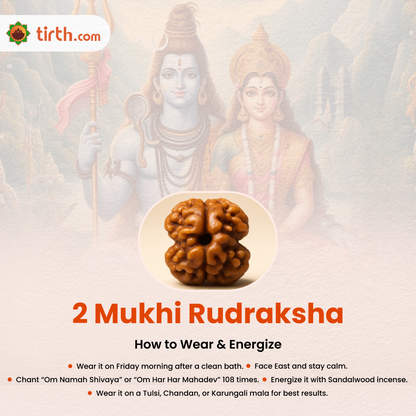 Tirth 2 Mukhi Rudraksha – Relationship Harmony, Emotional Balance & Unity | Shiv–Shakti Energy Bead