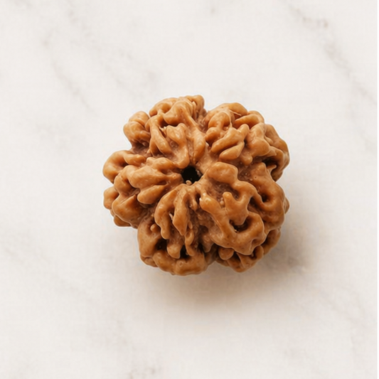 Nirakar Rudraksha – Formless Shiva Consciousness Bead
