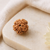 Nirakar Rudraksha – Formless Shiva Consciousness Bead