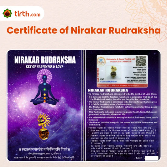 Original Nirakar Rudraksha – Formless Shiva Consciousness Bead