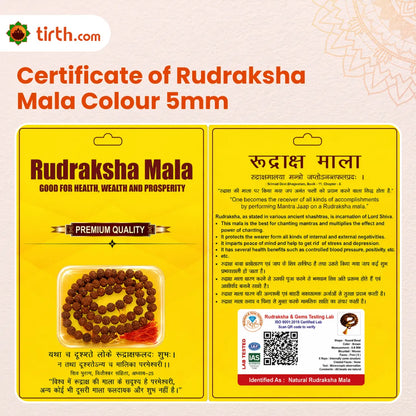 Natural Colored Rudraksha Mala (5mm / 6mm / 7mm / 8mm) – 108 Bead Spiritual Rudraksha Jap Mala for Protection & Discipline