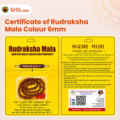 Natural Colored Rudraksha Mala (5mm / 6mm / 7mm / 8mm) – 108 Bead Spiritual Rudraksha Jap Mala for Protection & Discipline
