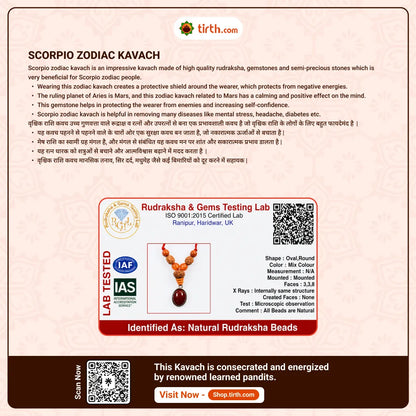 Scorpio Rashi Kavach Mala – Vrishchik Rashi Rudraksha Kavach Mala (9, 11, 14 Mukhi) for Strength, Protection & Transformation