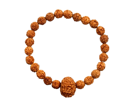 Original 11 Mukhi Rudraksha Bracelet (Java 1 Bead) – Natural 11 Face Rudraksha Wrist Bracelet for Courage, Spiritual Power & Focus