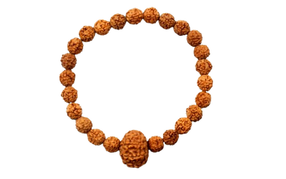 Original 12 Mukhi Rudraksha Bracelet (Java 1 Bead) – Natural 12 Face Rudraksha Wrist Bracelet for Leadership, Confidence & Solar Energy