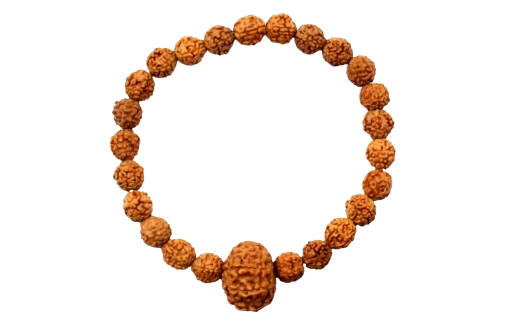 Original 12 Mukhi Rudraksha Bracelet (Java 1 Bead) – Natural 12 Face Rudraksha Wrist Bracelet for Leadership, Confidence & Solar Energy