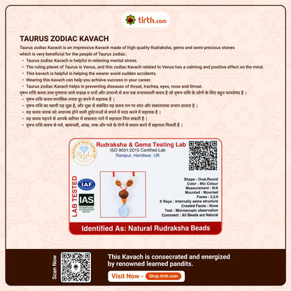 Taurus Rashi Kavach Mala – Vrishabh Rashi Rudraksha Kavach Mala (6, 13, 14 Mukhi) for Stability, Attraction & Decision Clarity