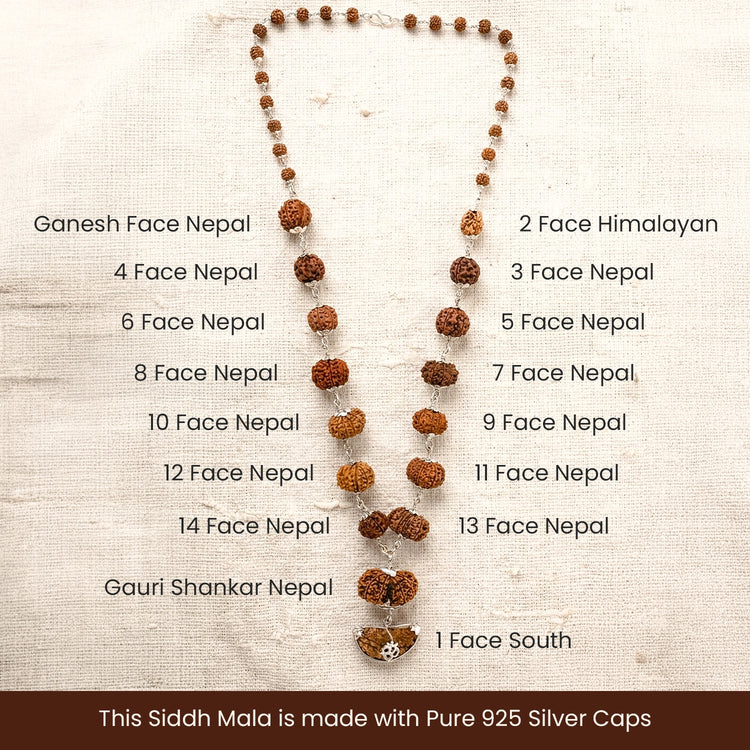 Tirth 1–14 Mukhi Siddh Rudraksha Mala with Collector Beads
