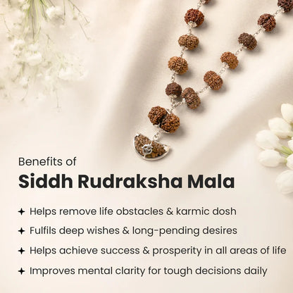 Tirth 1–14 Mukhi Siddh Rudraksha Mala with Collector Beads