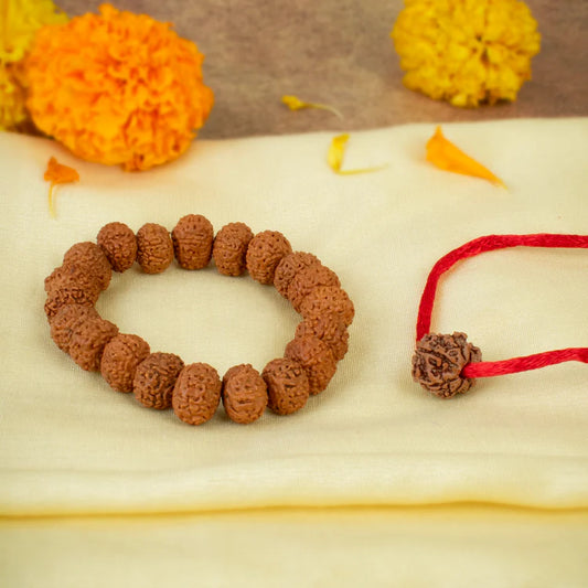 Tirth 7 Mukhi Rudraksha Combo
