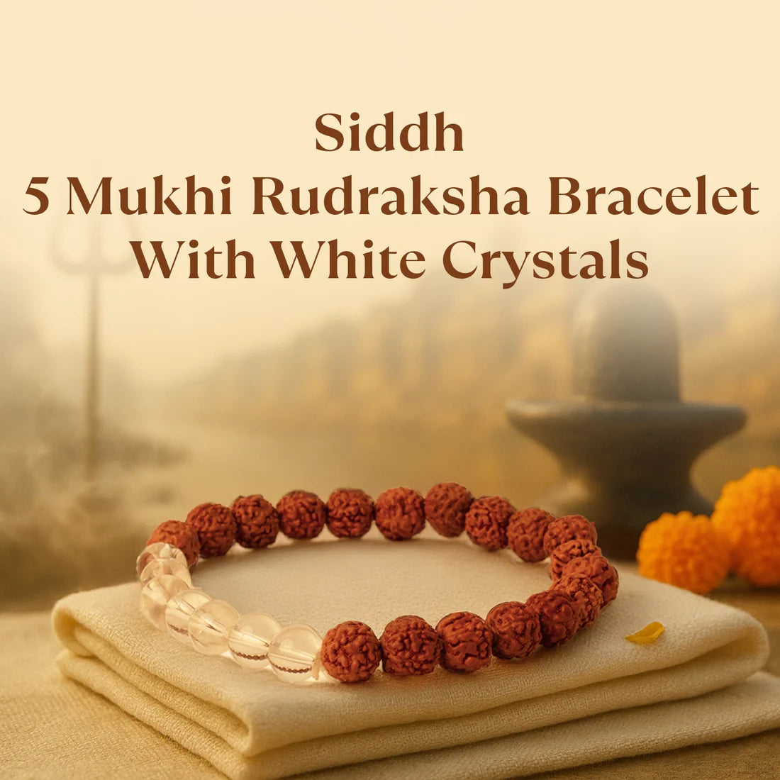 Tirth Kashi Siddh 5 Mukhi Rudraksha Bracelet with White Crystals