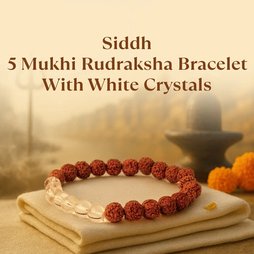 Tirth Kashi Siddh 5 Mukhi Rudraksha Bracelet with White Crystals