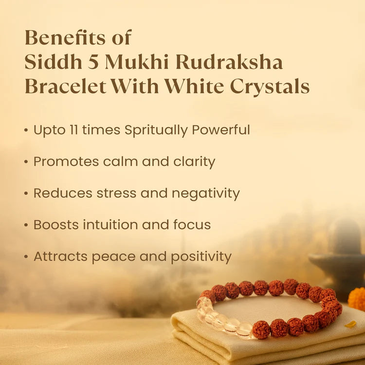 Tirth Kashi Siddh 5 Mukhi Rudraksha Bracelet with White Crystals