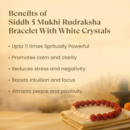 Tirth Kashi Siddh 5 Mukhi Rudraksha Bracelet with White Crystals