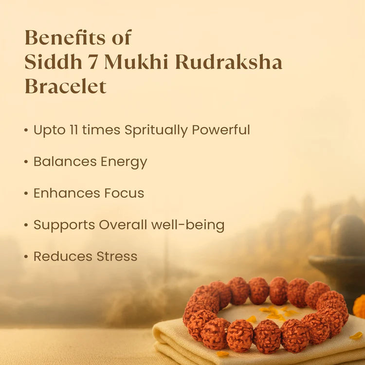 Tirth Kashi Siddh 7 Mukhi Rudraksha Bracelet