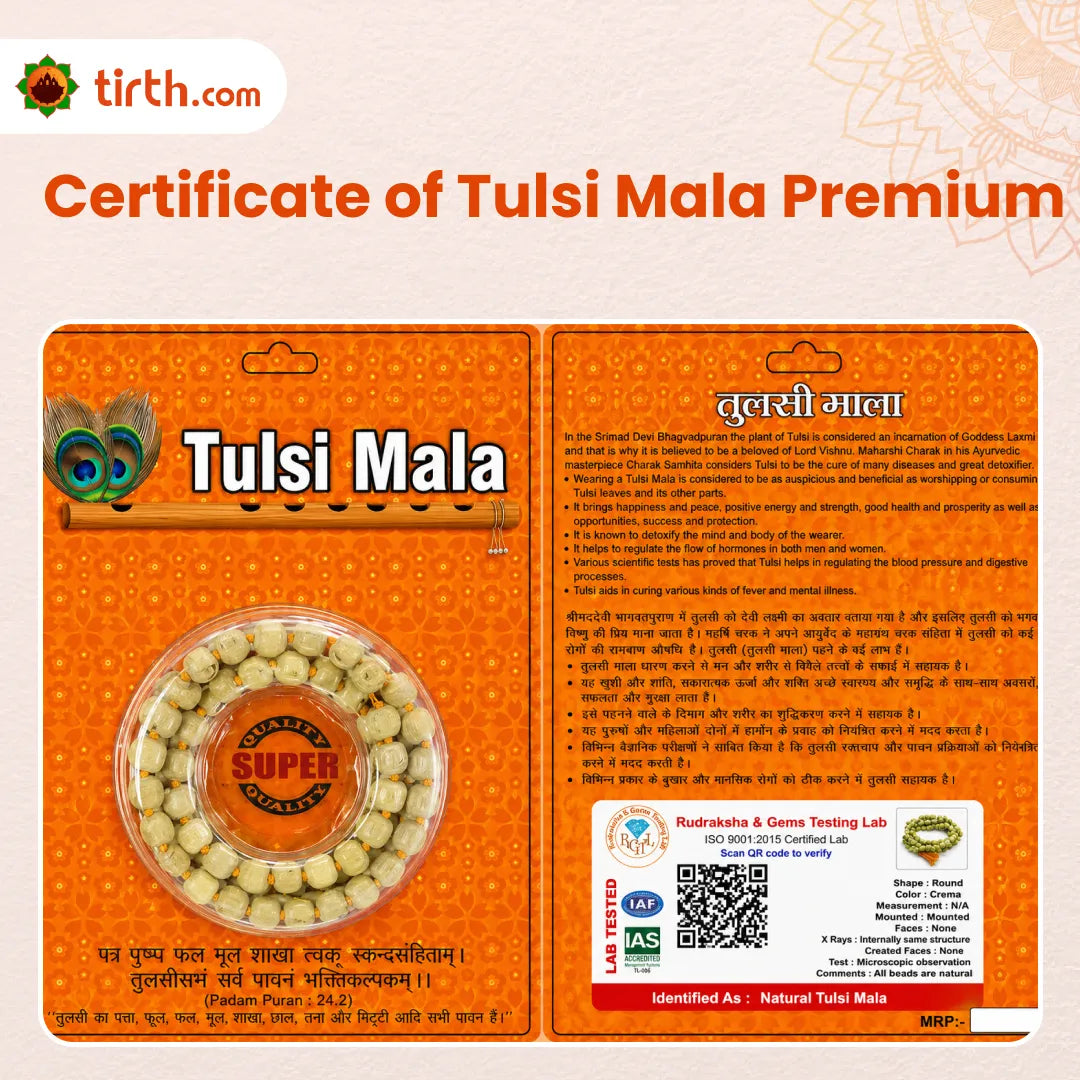 Natural Tulsi Mala (Regular / Premium / Super) – 108 Bead Sacred Tulsi Kanthi Jap Mala for Devotion, Purity & Bhakti Practice
