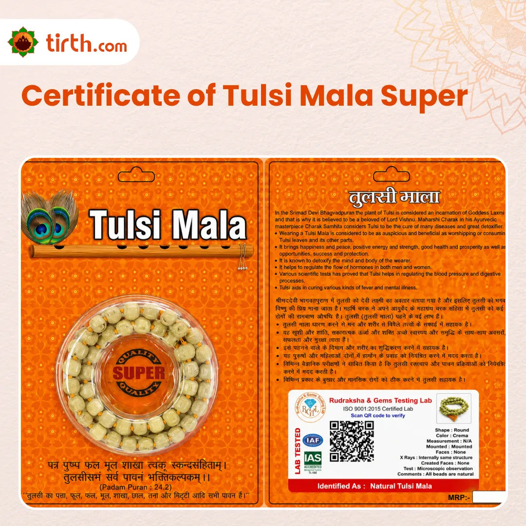 Natural Tulsi Mala (Regular / Premium / Super) – 108 Bead Sacred Tulsi Kanthi Jap Mala for Devotion, Purity & Bhakti Practice