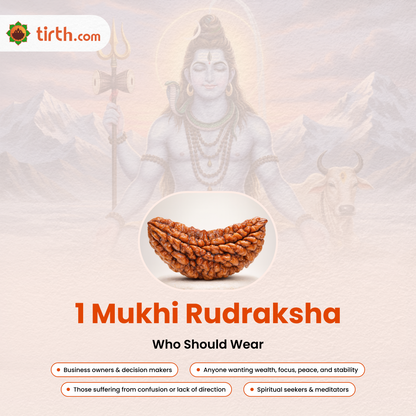 Tirth 1 Mukhi Rudraksha – Divine Ek Mukhi Power Bead for Spiritual Awakening