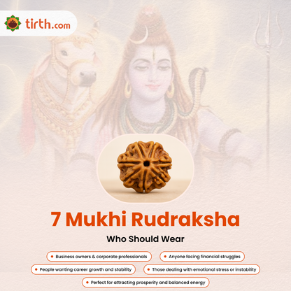 Tirth 7 Mukhi Rudraksha – Wealth, Prosperity & Career Growth | Lakshmi Blessings Bead