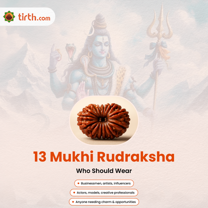 Tirth 13 Mukhi Rudraksha – Kamadeva Attraction & Manifestation Rudraksha