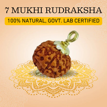 7 Mukhi Rudraksha