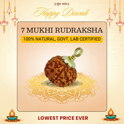 7 Mukhi Rudraksha